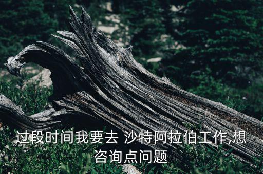 過(guò)段時(shí)間我要去 沙特阿拉伯工作,想咨詢點(diǎn)問(wèn)題