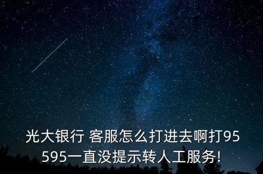  光大銀行 客服怎么打進去啊打95595一直沒提示轉(zhuǎn)人工服務!