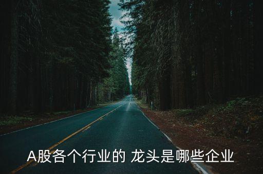 A股各個行業(yè)的 龍頭是哪些企業(yè)