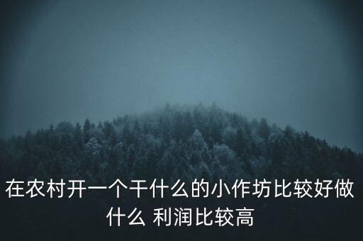 在農(nóng)村開一個干什么的小作坊比較好做什么 利潤比較高