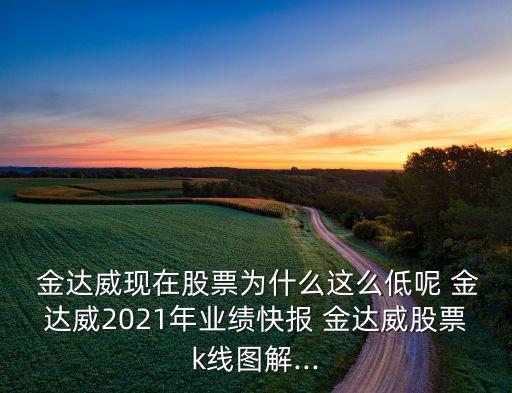  金達(dá)威現(xiàn)在股票為什么這么低呢 金達(dá)威2021年業(yè)績快報 金達(dá)威股票k線圖解...