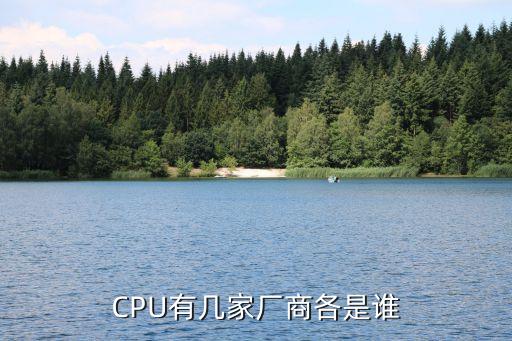 CPU有幾家廠商各是誰