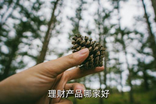 農(nóng)村商業(yè)銀行理財(cái)產(chǎn)品哪個(gè)好