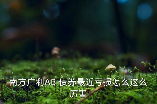 南方廣利AB 債券最近虧損怎么這么厲害