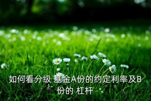 如何看分級(jí) 基金A份的約定利率及B份的 杠桿