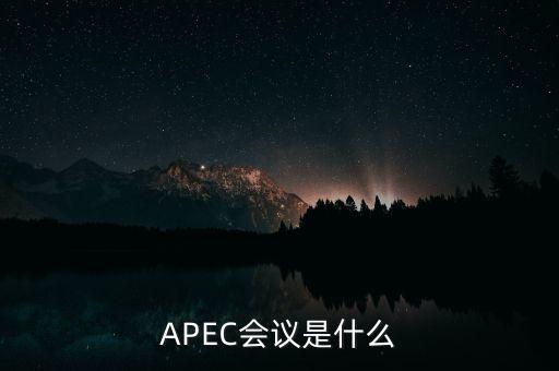 北京apec峰會服裝,北京APEC峰會期間,有2位女性