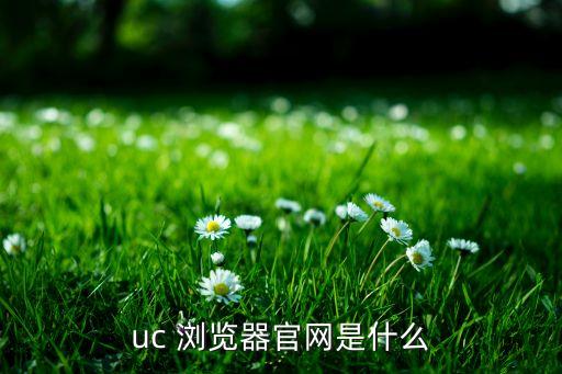 uc 瀏覽器官網(wǎng)是什么