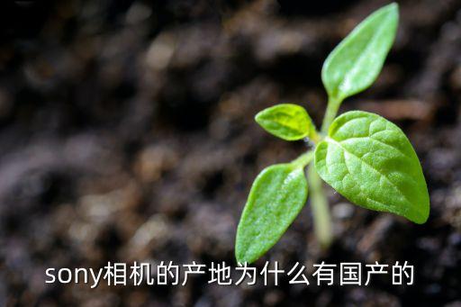 索尼在中國有幾個(gè)工廠,索尼電視壽命一般幾年