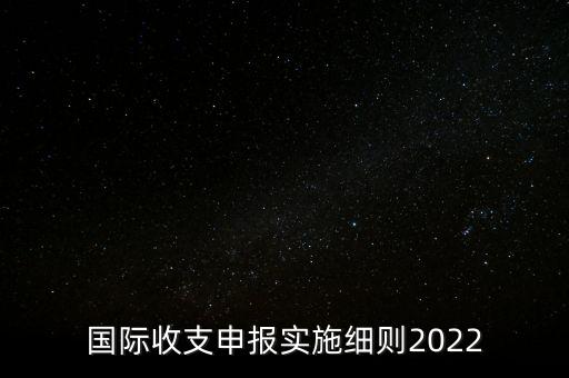 國際收支申報實施細則2022