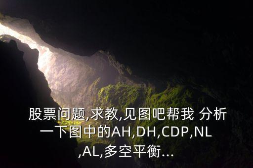  股票問題,求教,見圖吧幫我 分析一下圖中的AH,DH,CDP,NL,AL,多空平衡...