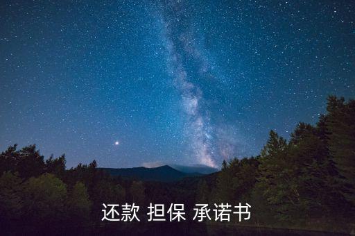 還款 擔(dān)保 承諾書