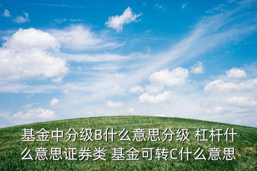  基金中分級(jí)B什么意思分級(jí) 杠桿什么意思證券類 基金可轉(zhuǎn)C什么意思