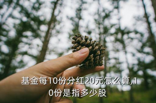  基金每10份分紅20元怎么算,10份是指多少股