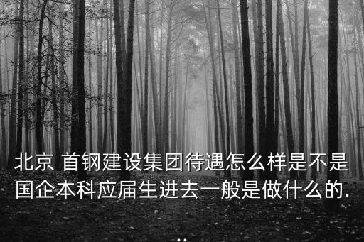 北京 首鋼建設集團待遇怎么樣是不是國企本科應屆生進去一般是做什么的...