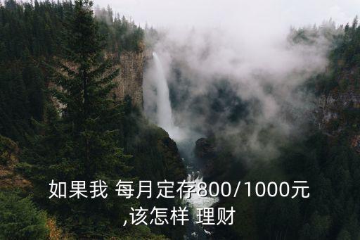 如果我 每月定存800/1000元,該怎樣 理財