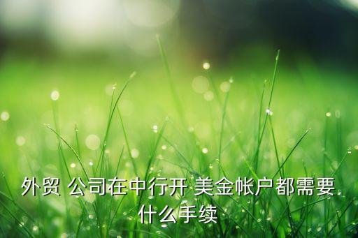 外貿(mào) 公司在中行開 美金帳戶都需要什么手續(xù)