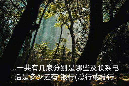 ...一共有幾家分別是哪些及聯(lián)系電話(huà)是多少還有 銀行(總行或分行