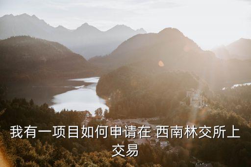 我有一項(xiàng)目如何申請(qǐng)?jiān)?西南林交所上交易