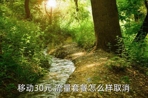 移動30元 流量套餐怎么樣取消