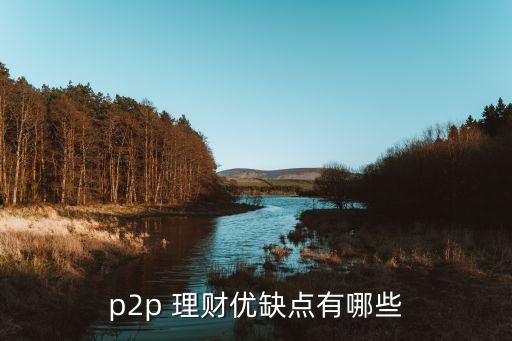 p2p 理財優(yōu)缺點有哪些