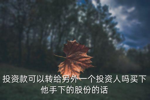 投資款可以轉(zhuǎn)給另外一個投資人嗎買下他手下的股份的話