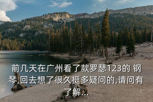 前幾天在廣州看了款羅瑟123的 鋼琴,回去想了很久挺多疑問的,請問有了解...