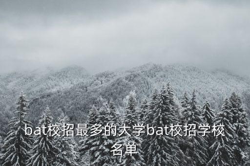 bat校招最多的大學(xué)bat校招學(xué)校名單