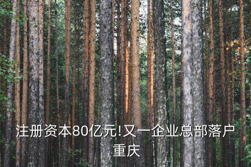 注冊資本80億元!又一企業(yè)總部落戶 重慶