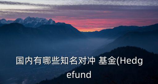 國內(nèi)有哪些知名對沖 基金(Hedgefund