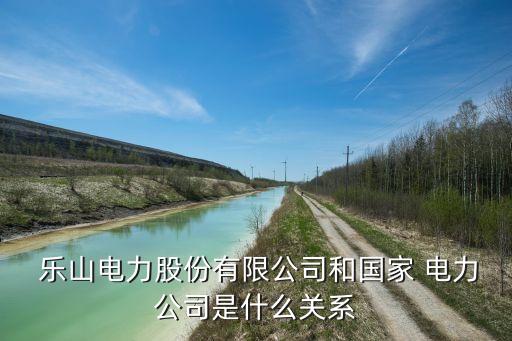  樂山電力股份有限公司和國家 電力公司是什么關(guān)系