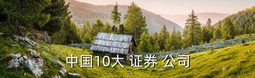 中國10大 證券 公司