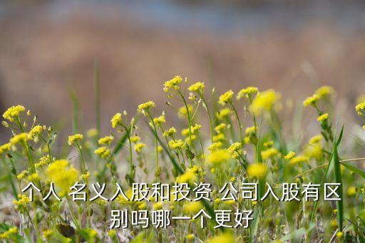 公司名義參股,公司參股的優(yōu)缺點(diǎn)