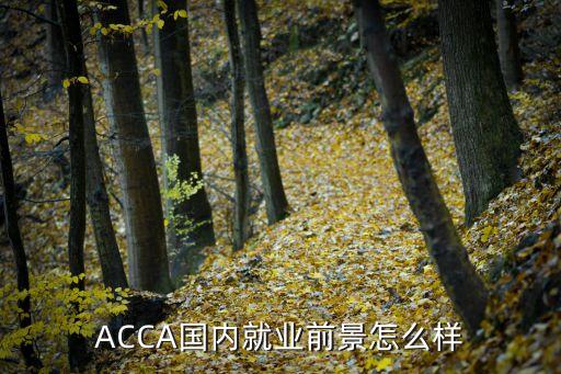 ACCA國內就業(yè)前景怎么樣