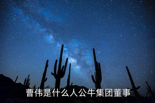  曹偉是什么人公牛集團(tuán)董事