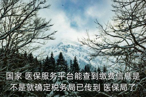 國(guó)家 醫(yī)保服務(wù)平臺(tái)能查到繳費(fèi)信息是不是就確定稅務(wù)局已傳到 醫(yī)保局了