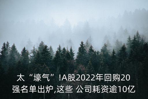 太“壕氣”!A股2022年回購(gòu)20強(qiáng)名單出爐,這些 公司耗資逾10億