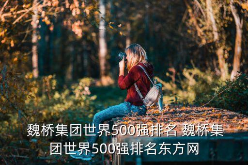  魏橋集團世界500強排名 魏橋集團世界500強排名東方網(wǎng)