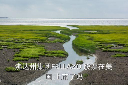 沸達(dá)州集團(tuán)FELLAZO 股票在美國 上市了嗎