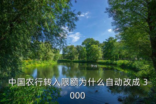 中國農(nóng)行轉(zhuǎn)入限額為什么自動改成 3000