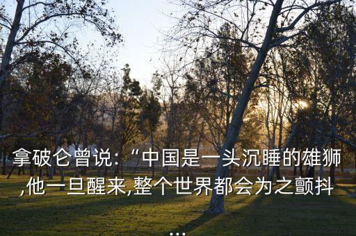 拿破侖曾說:“中國是一頭沉睡的雄獅,他一旦醒來,整個世界都會為之顫抖...