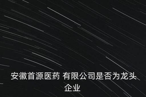 安徽國(guó)鑫中藥飲品有限公司,安徽誠(chéng)國(guó)鑫科技材料有限公司