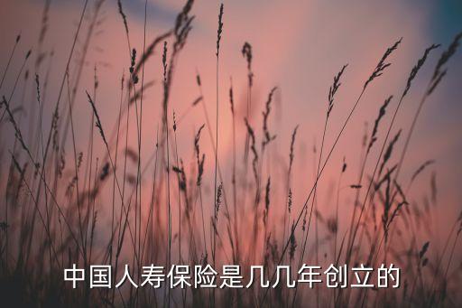 中國(guó)人民財(cái)產(chǎn)保險(xiǎn)股份有限公司董事長(zhǎng)