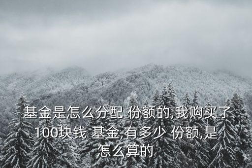  基金是怎么分配 份額的,我購(gòu)買了100塊錢 基金,有多少 份額,是怎么算的