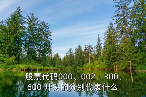  股票代碼000、002、300、600 開頭的分別代表什么