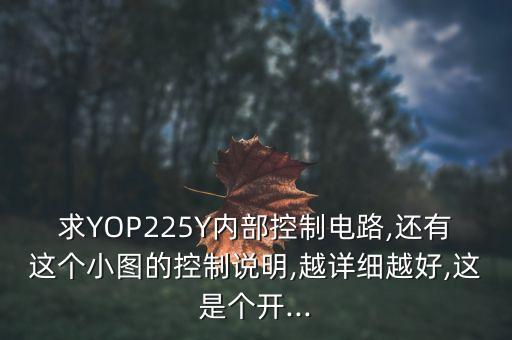 求YOP225Y內(nèi)部控制電路,還有這個小圖的控制說明,越詳細(xì)越好,這是個開...