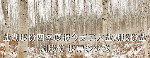 鹽湖股份四季度報(bào)今天買入鹽湖股份鹽湖股份 股票多少錢