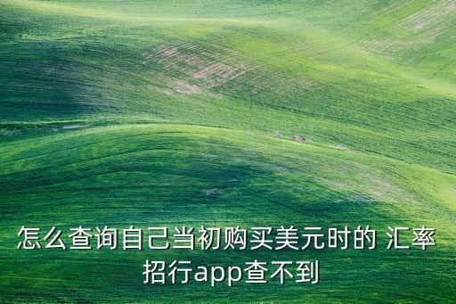 怎么查詢自己當(dāng)初購買美元時(shí)的 匯率 招行app查不到