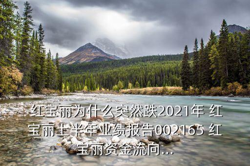  紅寶麗為什么突然跌2021年 紅寶麗上半年業(yè)績報(bào)告002165 紅寶麗資金流向...