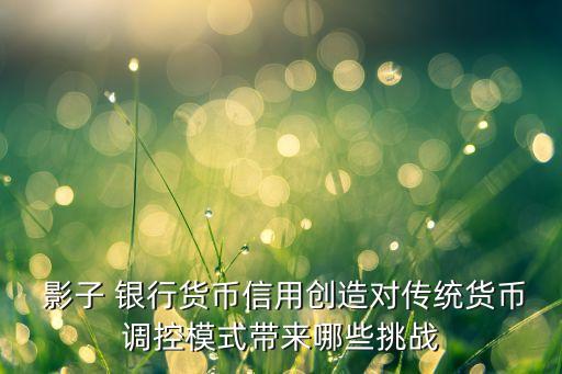  影子 銀行貨幣信用創(chuàng)造對傳統(tǒng)貨幣調(diào)控模式帶來哪些挑戰(zhàn)