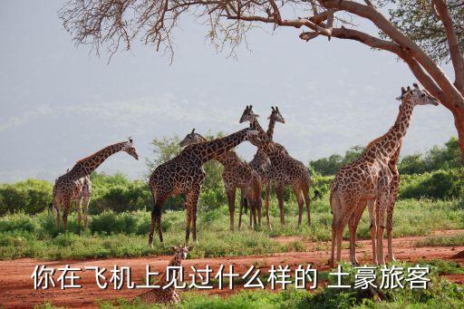 你在飛機上見過什么樣的 土豪旅客